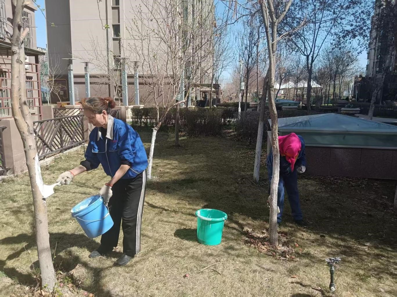 小區樹木穿上“白防護衣”，物業公司守護綠色家園