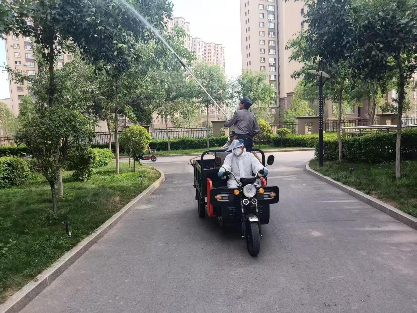 科學消殺護新綠 筑牢綠色“健康墻” 科學消殺護新綠 筑牢綠色“健康墻”